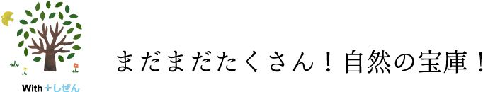 まだまだたくさん!自然の宝庫!