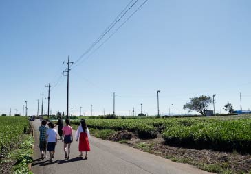 茶畑のなかで撮影中の一同