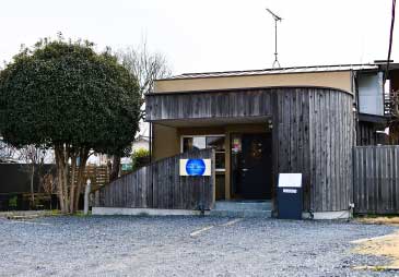 ウェロニカ・ペルシカの外観