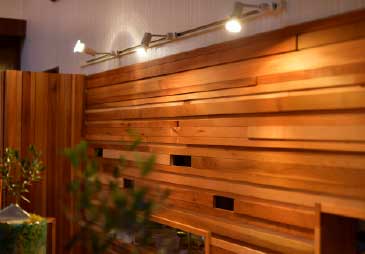 ウェロニカ・ペルシカの内観