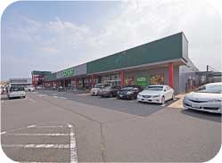 グリーンガーデン 武蔵藤沢