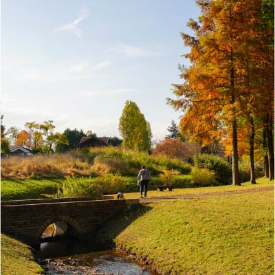 彩の森入間公園
